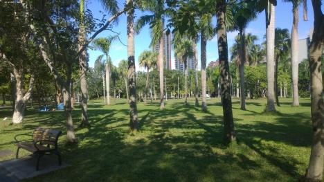 Royal Palms in Da-An Forest Park.