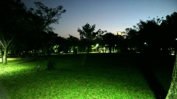 Open ground in Da-An Forest Park during night.