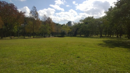 An open ground in Da-An Forest Park.