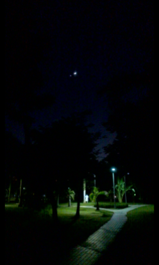 Moon and Venus (clear view), seen from open ground in Da-An Forest Park during night.